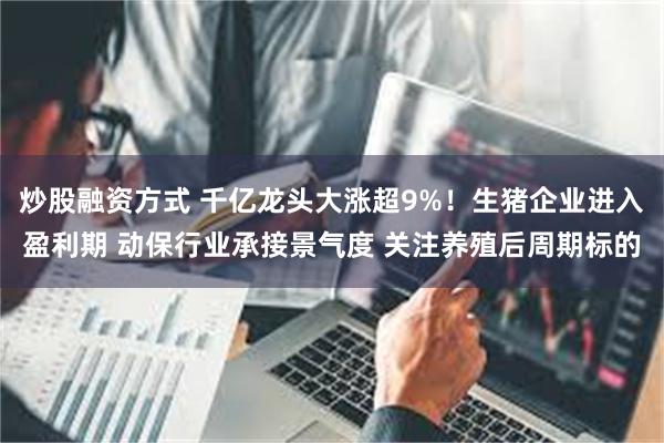 炒股融资方式 千亿龙头大涨超9%!生猪企业进入盈利期 动保行业承接景气度 关注养殖后周期标的