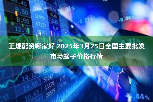 正规配资哪家好 2025年3月25日全国主要批发市场蛏子价格行情