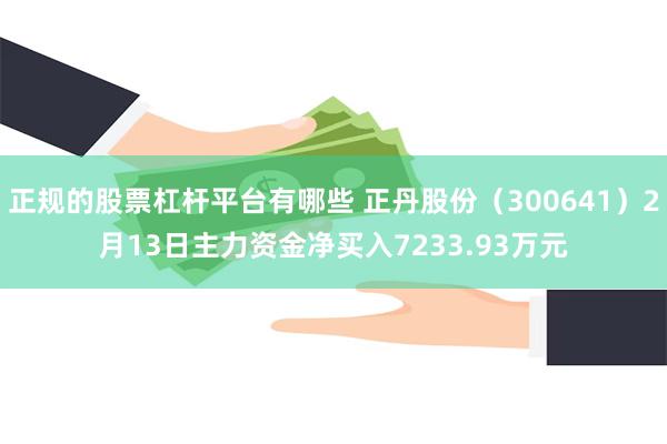 正规的股票杠杆平台有哪些 正丹股份（300641）2月13日主力资金净买入7233.93万元