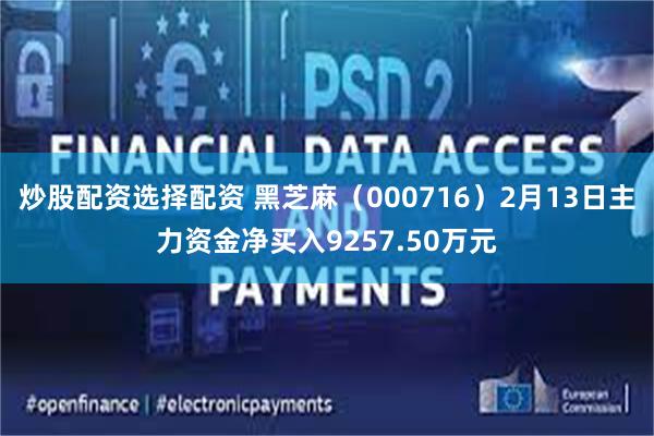 炒股配资选择配资 黑芝麻（000716）2月13日主力资金净买入9257.50万元