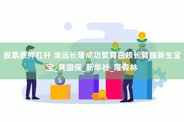股票质押杠杆 清远长隆成功繁育白颊长臂猿新生宝宝_黄国保_新华社_隆森林