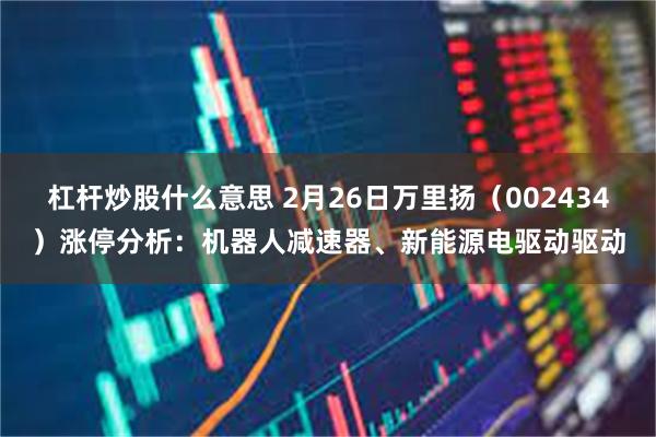 杠杆炒股什么意思 2月26日万里扬（002434）涨停分析：机器人减速器、新能源电驱动驱动