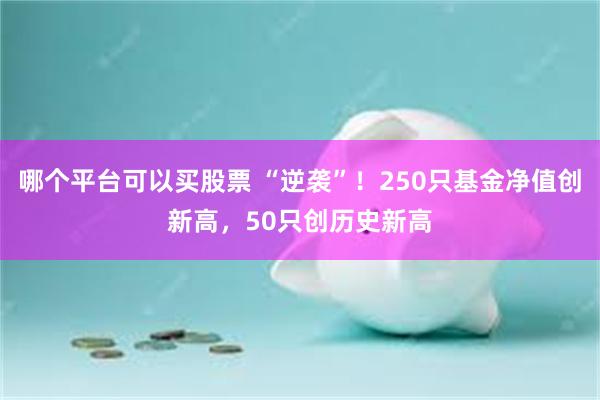 哪个平台可以买股票 “逆袭”!250只基金净值创新高,50只创历史新高