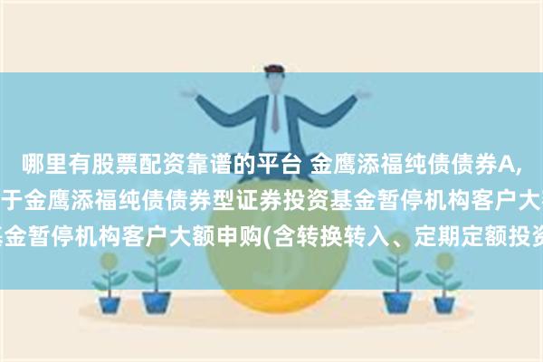 哪里有股票配资靠谱的平台 金鹰添福纯债债券A,金鹰添福纯债债券C: 关于金鹰添福纯债债券型证券投资基金暂停机构客户大额申购(含转换转入、定期定额投资)的公告