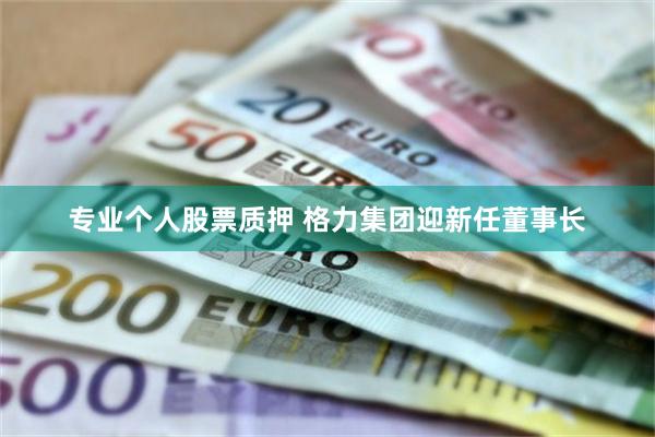 专业个人股票质押 格力集团迎新任董事长